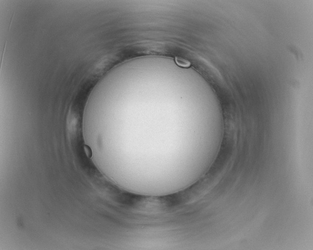 X0000115840123200911271229