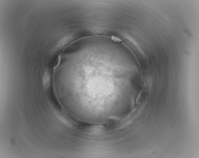 X0000115840124200911271229