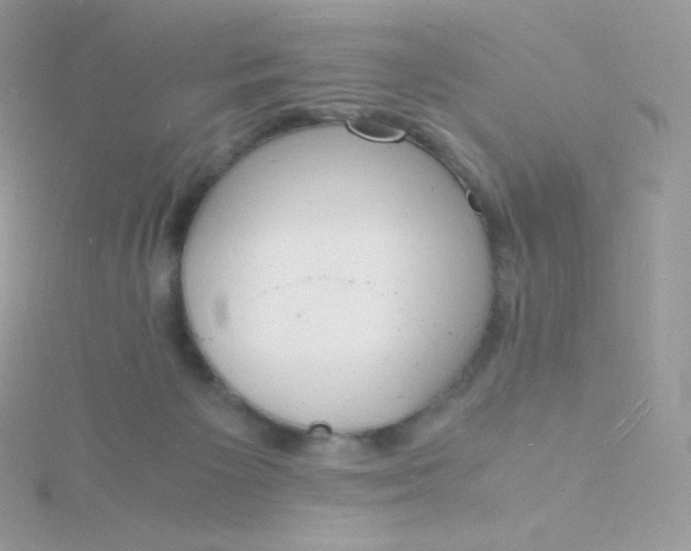 X0000115840125200911271229