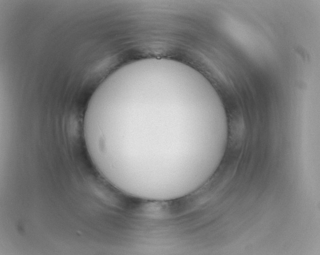 X0000115840126200911271229