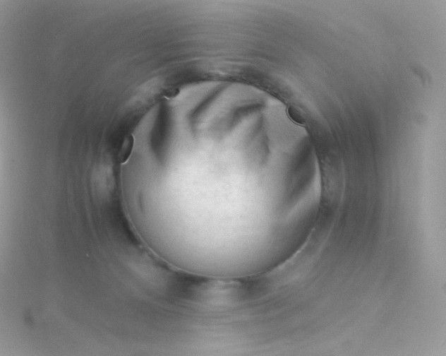 X0000115840128200911271229