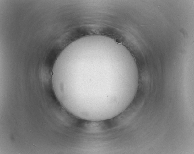 X0000115840129200911271229