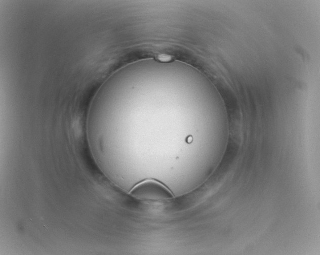 X0000115840131200911271229