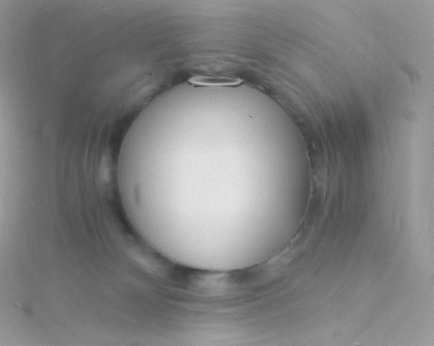 X0000115840132200911271229