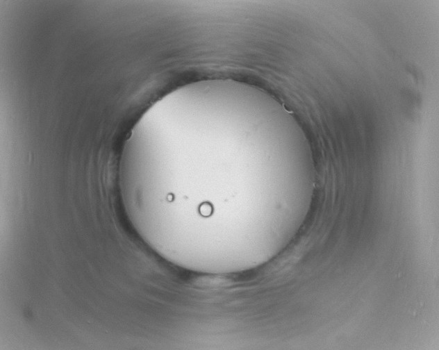 X0000115840133200911271229