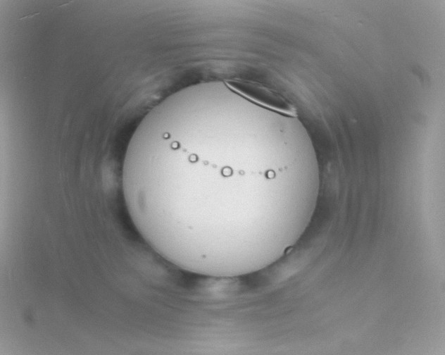 X0000115840135200911271229