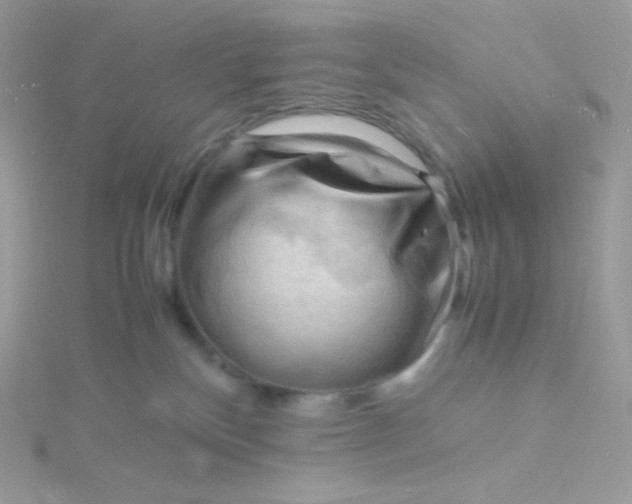 X0000115840136200911271229