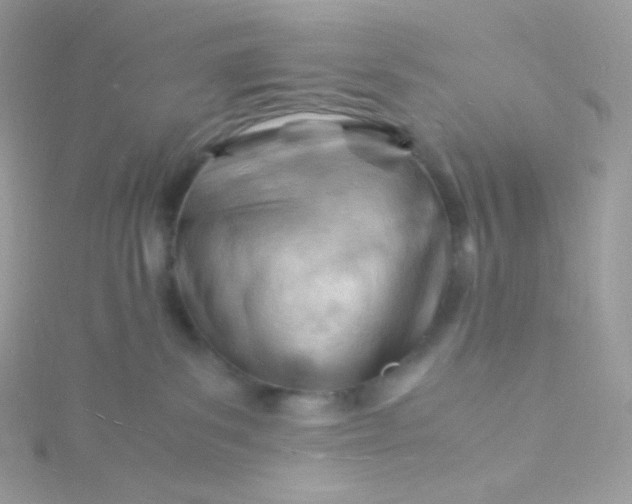 X0000115840139200911271229