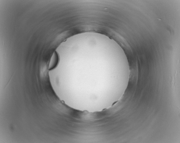 X0000115840142200911271229