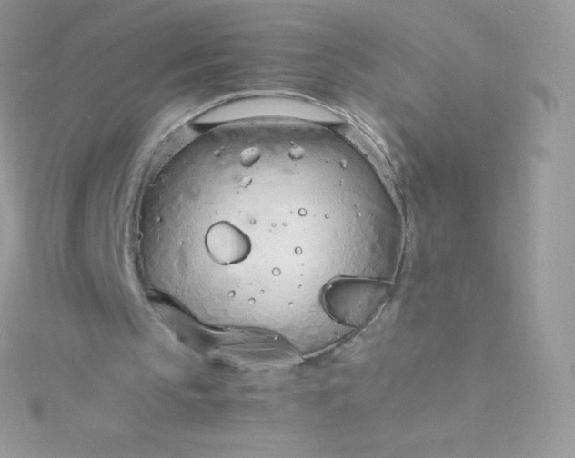 X0000115840145200911271228