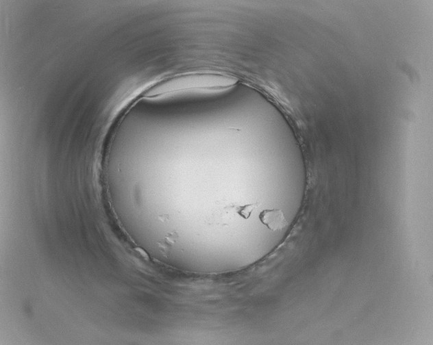 X0000115840146200911271228