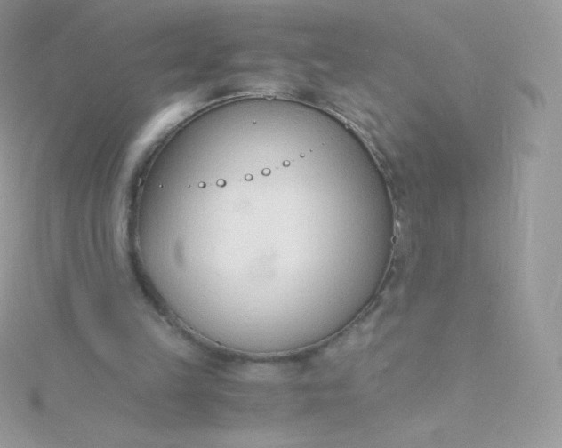 X0000115840149200911271228