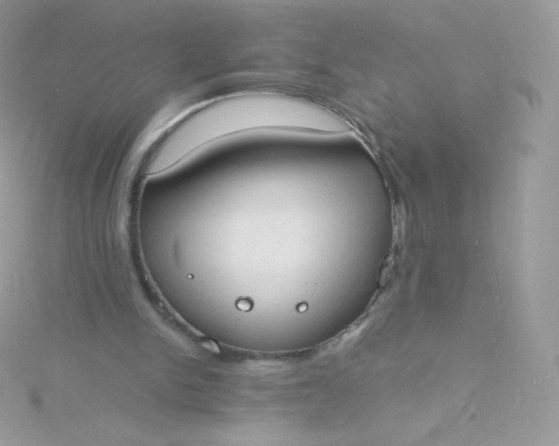 X0000115840150200911271228