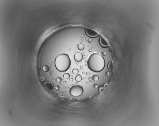 X0000115840151200911271228