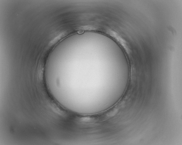 X0000115840153200911271228