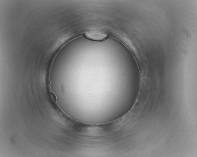 X0000115840154200911271228