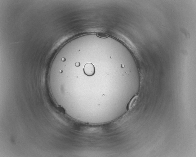 X0000115840155200911271228