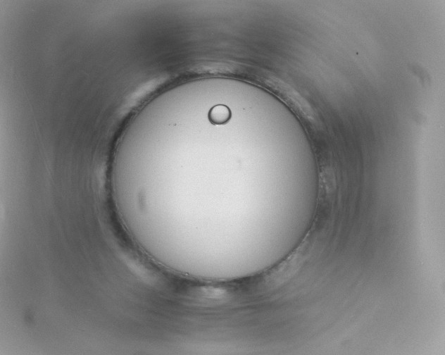 X0000115840159200911271228