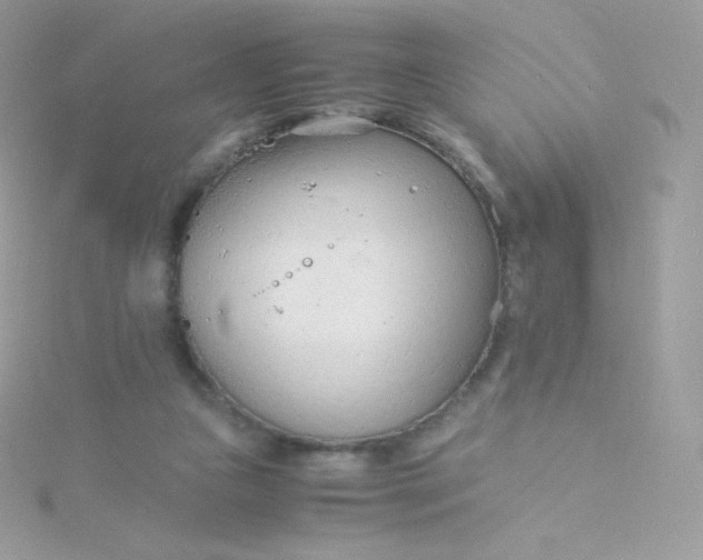 X0000115840161200911271228