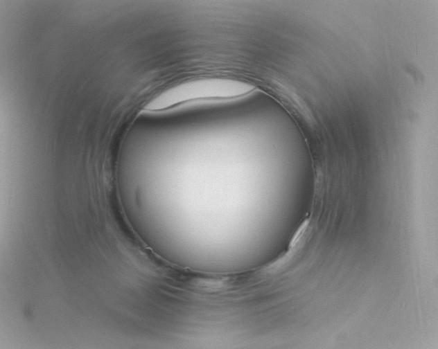 X0000115840170200911271228