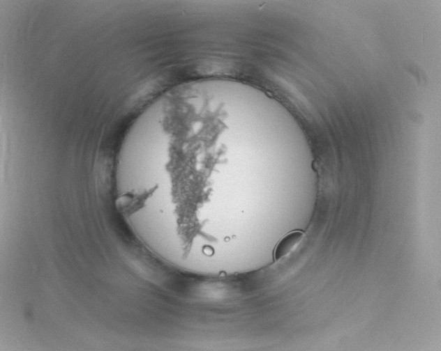 X0000115840171200911271228