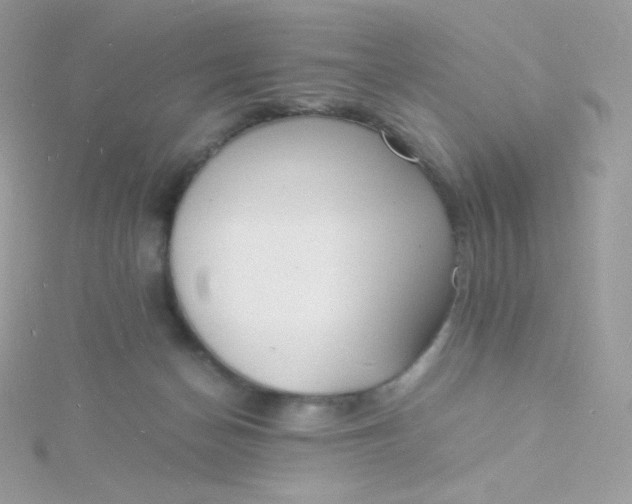 X0000115840174200911271228