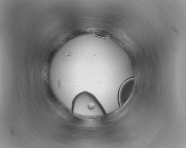 X0000115840175200911271228