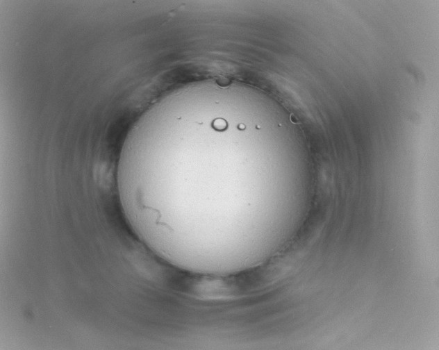 X0000115840177200911271228