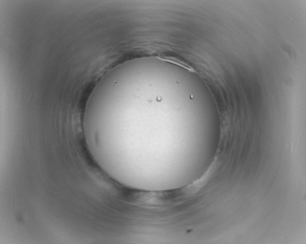 X0000115840182200911271228