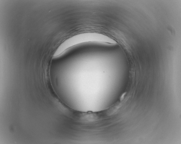 X0000115840185200911271228