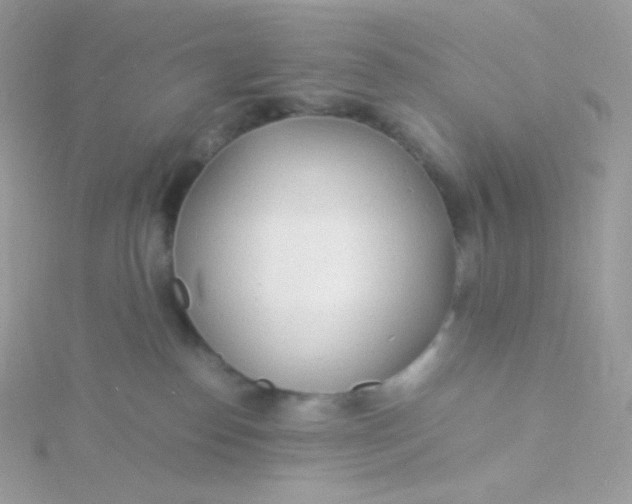 X0000115840186200911271228