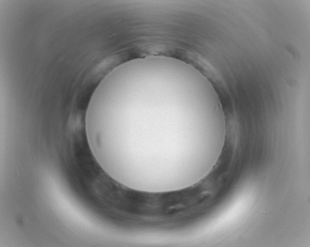 X0000115840191200911271228