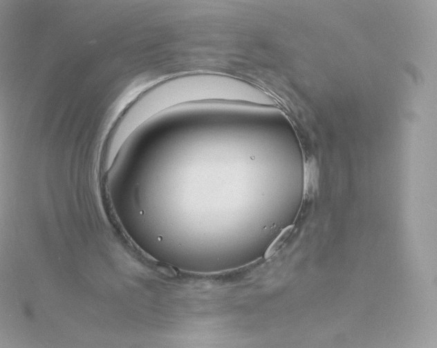 X0000115840195200911271228