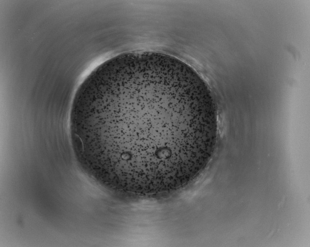 X0000115840196200911271228