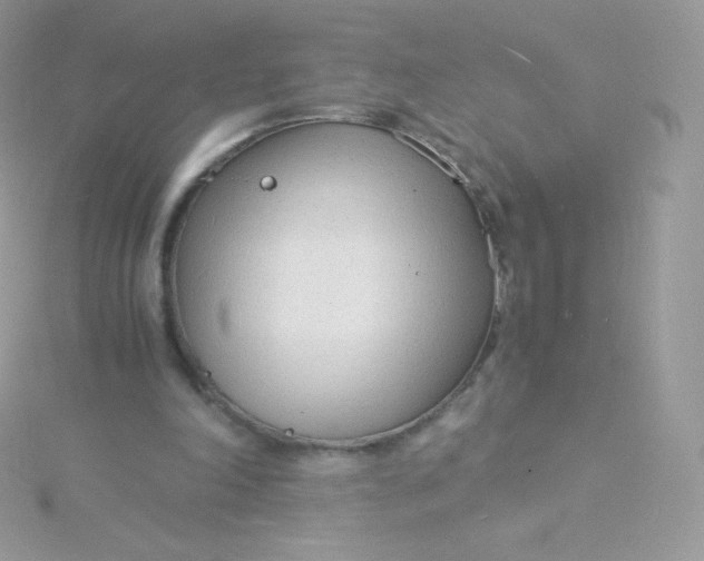 X0000115840198200911271228