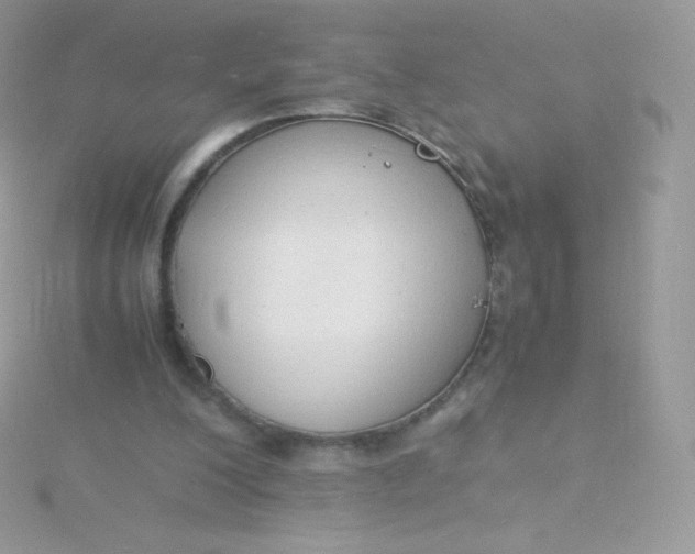 X0000115840200200911271228