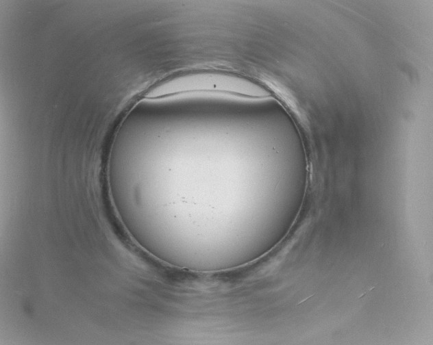 X0000115840201200911271228