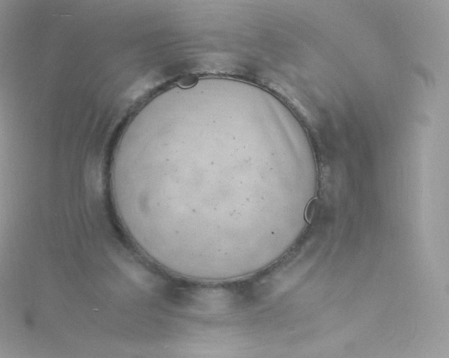 X0000115840203200911271228