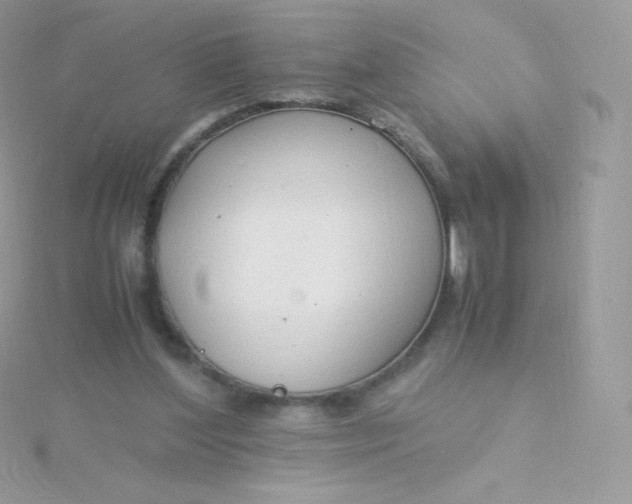 X0000115840204200911271228