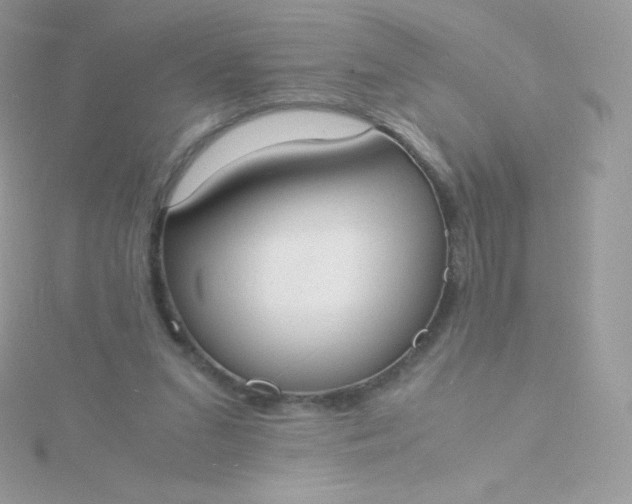 X0000115840207200911271228