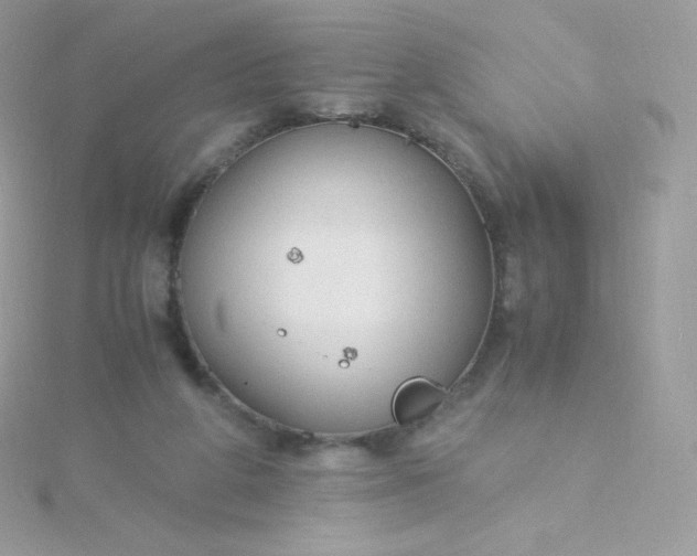 X0000115840210200911271228