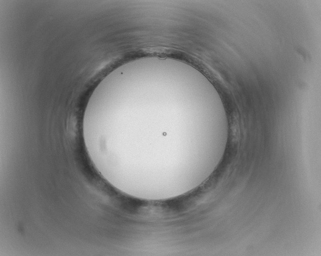 X0000115840211200911271228