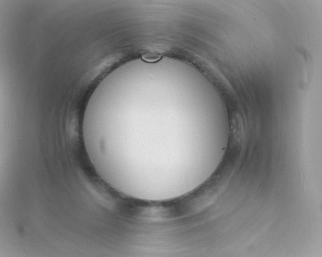 X0000115840212200911271228