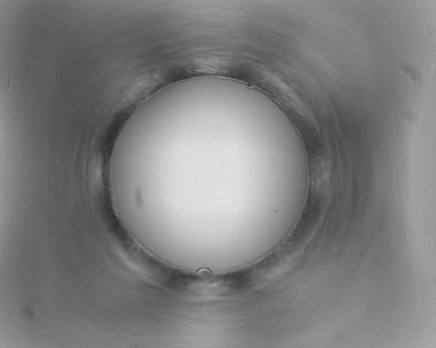 X0000115840213200911271228