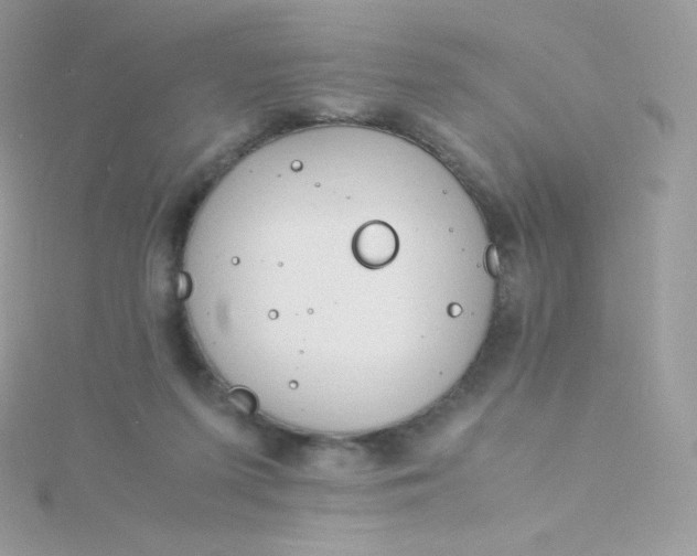 X0000115840215200911271228