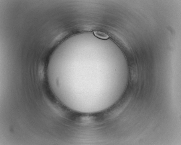 X0000115840216200911271228