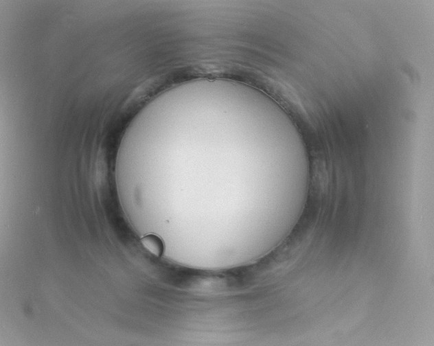 X0000115840220200911271228