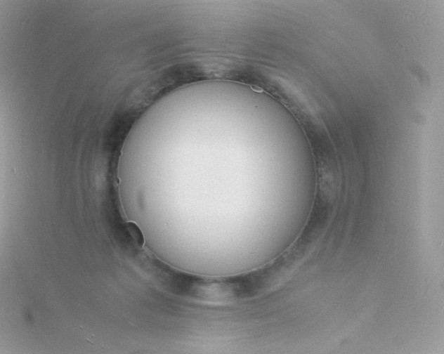 X0000115840221200911271228