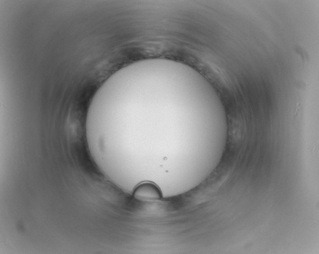 X0000115840226200911271227