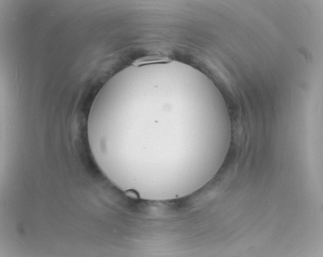 X0000115840229200911271227